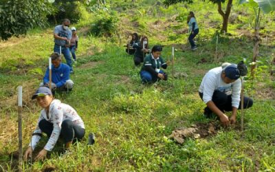BULACANSOL, GREENEARTH HERITAGE FOUNDATION  PARTNER FOR TREE PLANTING ACTIVITY
